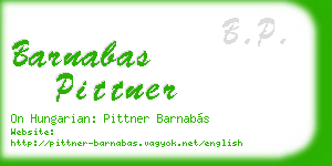 barnabas pittner business card