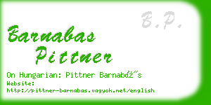 barnabas pittner business card